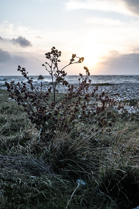 暴风雨中的波罗的海。Fehmarn Westermarkelsdorf